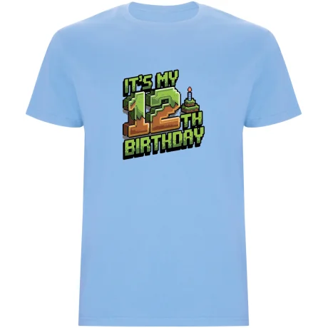 Dětské tričko - MINECRAFT DVANÁCTÉ NAROZENINY