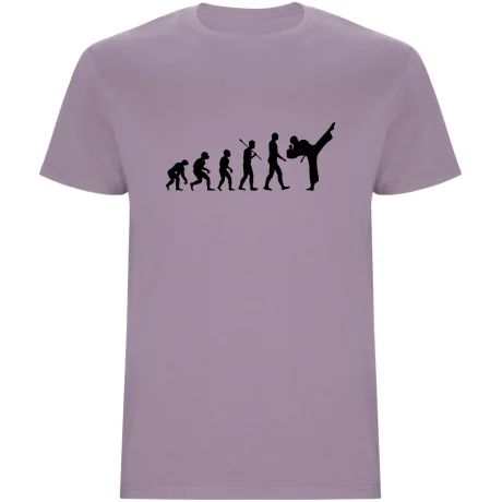 Pánské tričko - KARATE EVOLUCE