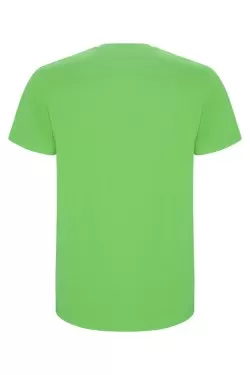 Pánské tričko s krátkým rukávem PREMIUM