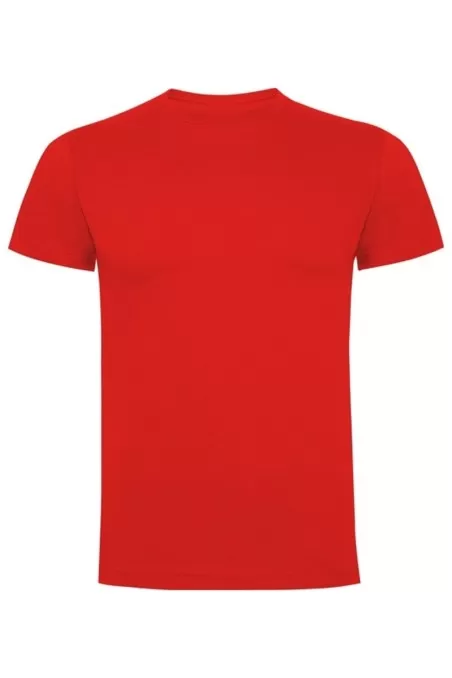 Pánské tričko s krátkým rukávem BASIC