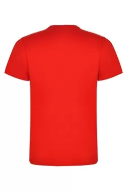 Pánské tričko s krátkým rukávem BASIC