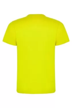 Pánské tričko s krátkým rukávem BASIC