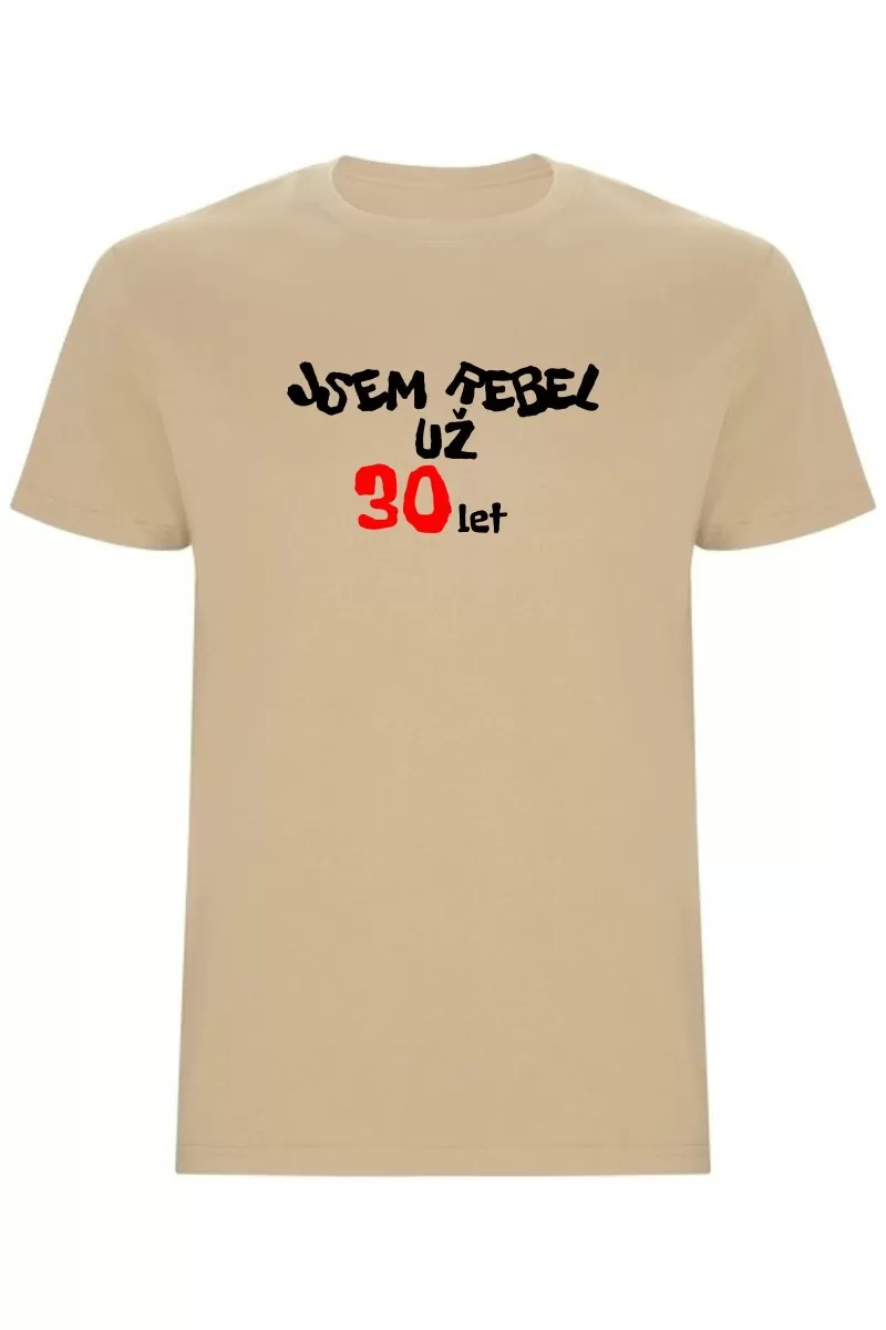 Pánské tričko - JSEM REBEL UŽ 30 LET