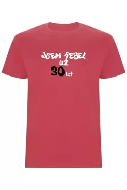 Pánské tričko - JSEM REBEL UŽ 30 LET
