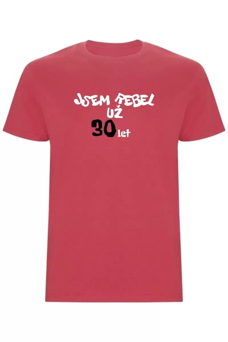 Pánské tričko - JSEM REBEL UŽ 30 LET