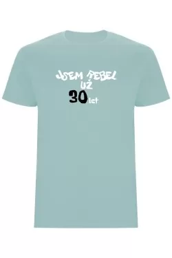 Pánské tričko - JSEM REBEL UŽ 30 LET