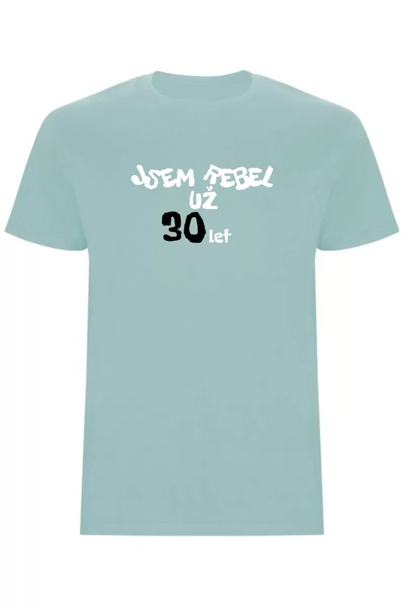 Pánské tričko - JSEM REBEL UŽ 30 LET