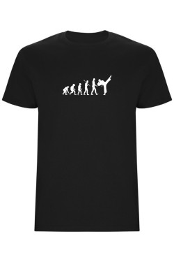 Pánské tričko - KARATE EVOLUCE