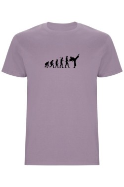 Pánské tričko - KARATE EVOLUCE