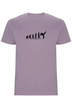 Pánské tričko - KARATE EVOLUCE