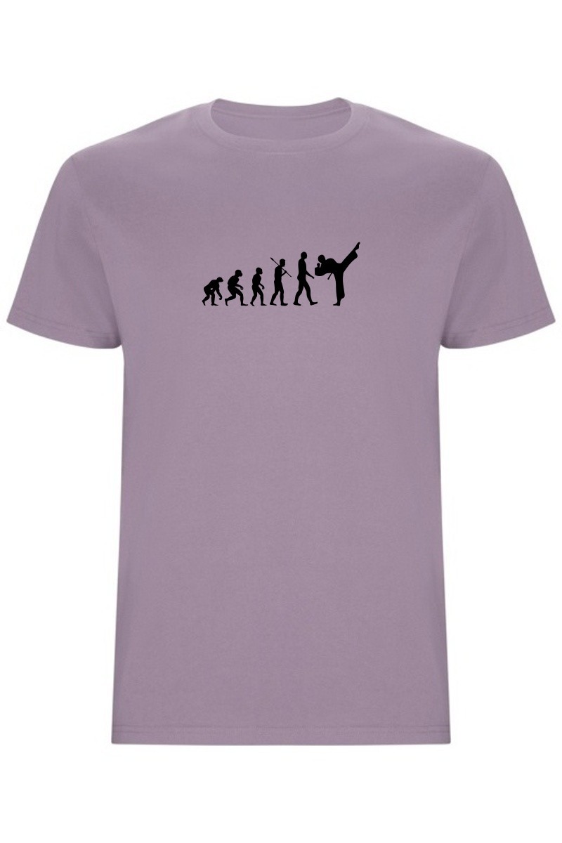 Pánské tričko - KARATE EVOLUCE