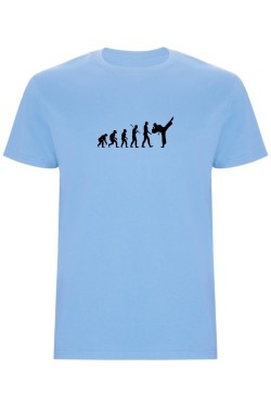 Pánské tričko - KARATE EVOLUCE