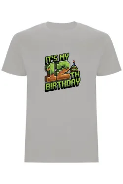 Dětské tričko - MINECRAFT DVANÁCTÉ NAROZENINY