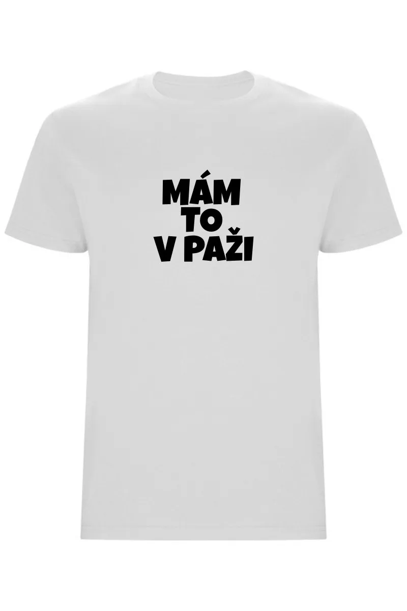 Pánské tričko - MÁM TO V PAŽI