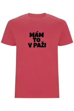 Pánské tričko - MÁM TO V PAŽI