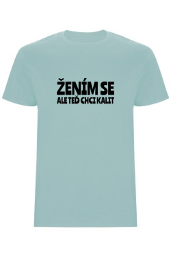 Pánské tričko – ŽENÍM SE, ALE TEĎ CHCI KALIT