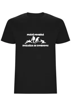 Pánské tričko - PRÁVĚ PROBÍHÁ ROZLUČKA SE SVOBODOU