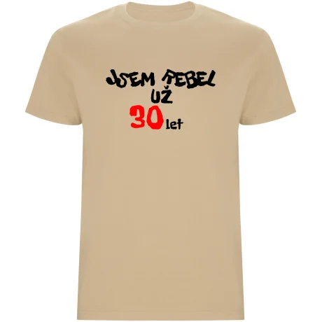Pánské tričko - JSEM REBEL UŽ 30 LET