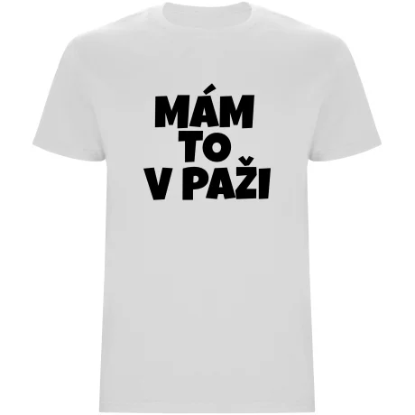 Pánské tričko - MÁM TO V PAŽI