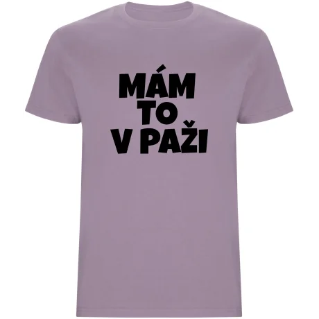 Pánské tričko - MÁM TO V PAŽI