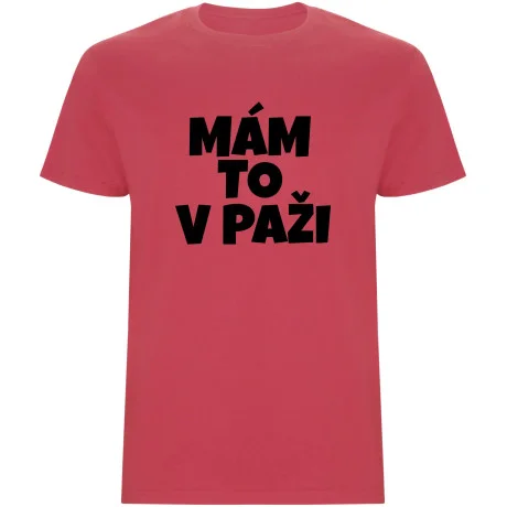 Pánské tričko - MÁM TO V PAŽI