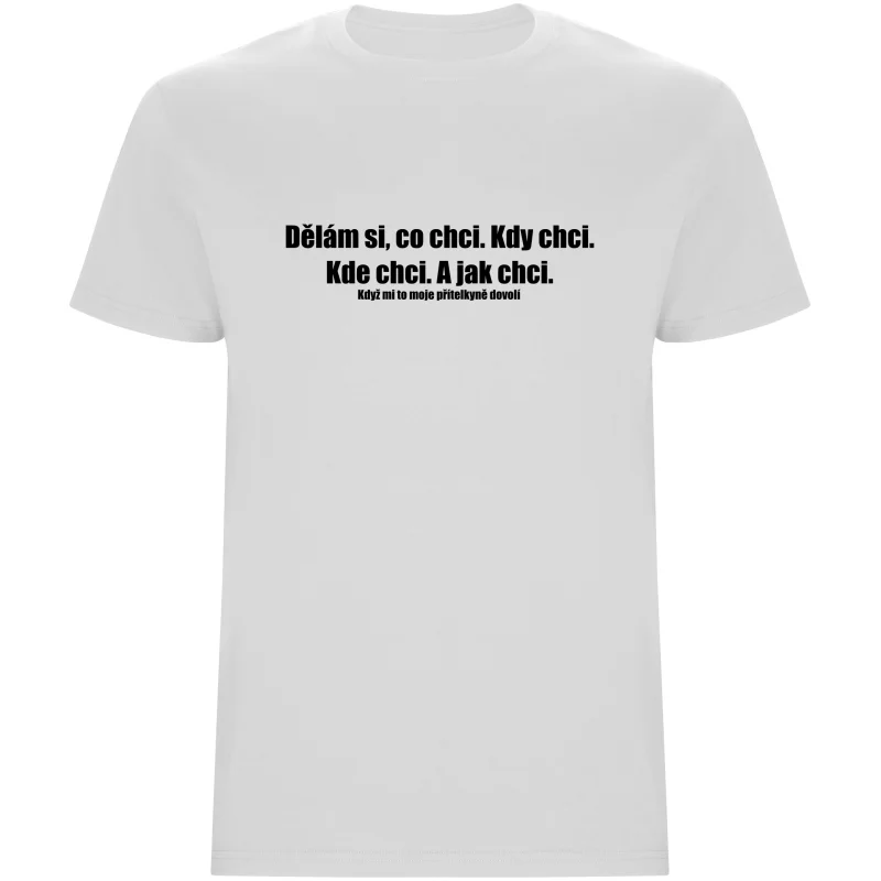 Pánské tričko - DĚLÁM SI, CO CHCI