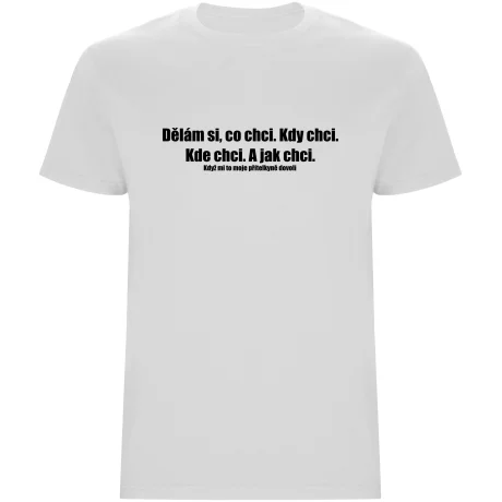Pánské tričko - DĚLÁM SI, CO CHCI
