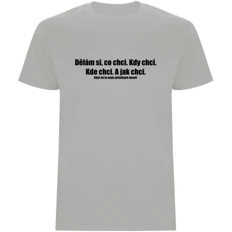 Pánské tričko - DĚLÁM SI, CO CHCI
