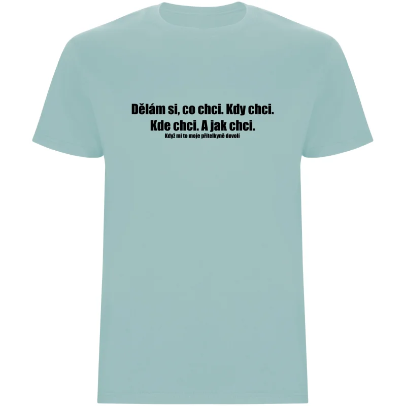 Pánské tričko - DĚLÁM SI, CO CHCI
