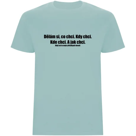 Pánské tričko - DĚLÁM SI, CO CHCI