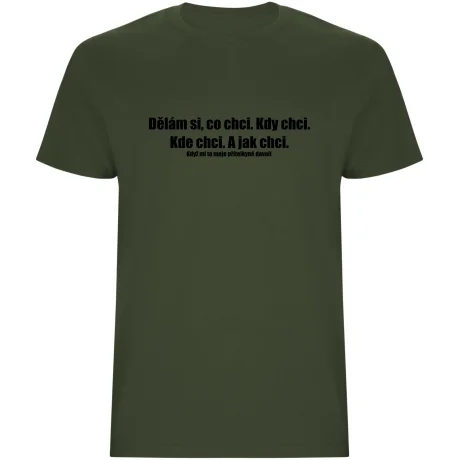 Pánské tričko - DĚLÁM SI, CO CHCI