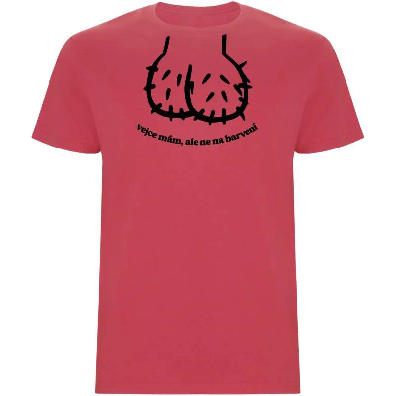 Pánské tričko - VELIKONOCE PRO CHLAPY