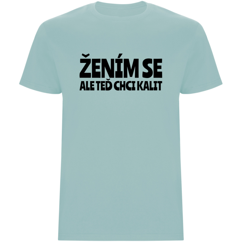 Pánské tričko – ŽENÍM SE, ALE TEĎ CHCI KALIT